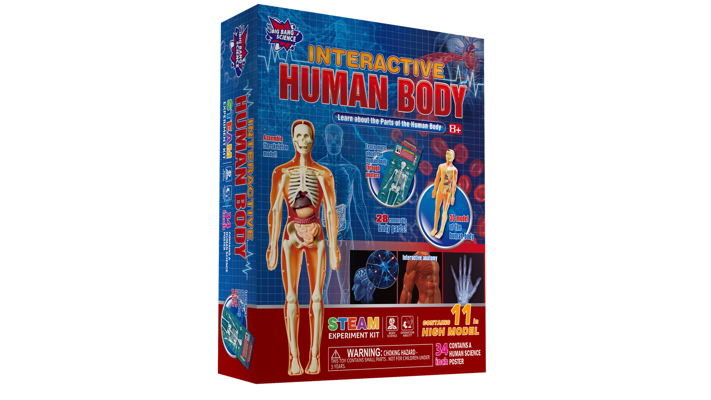 DESCUBRE EL CUERPO HUMANO (ANATOMÍA)