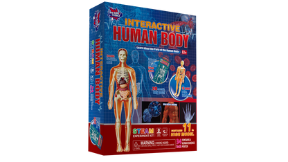 DESCUBRE EL CUERPO HUMANO (ANATOMÍA)