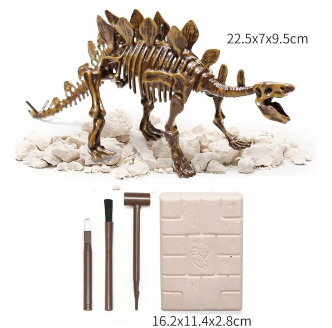 Kit de excavación de dinosaurios🦕