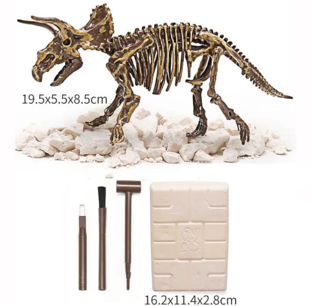 Kit de excavación de dinosaurios🦕