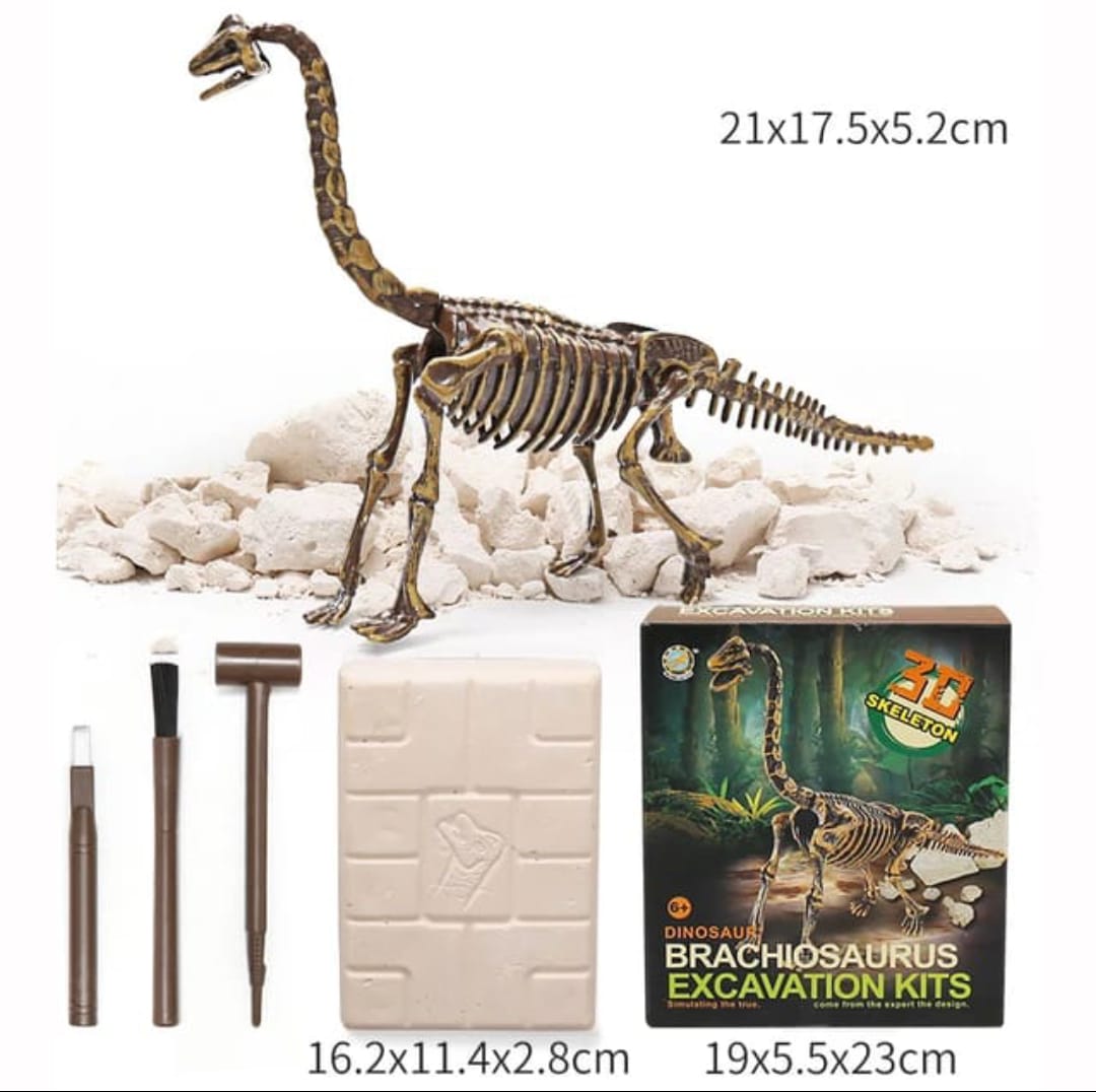 Kit de excavación de dinosaurios🦕