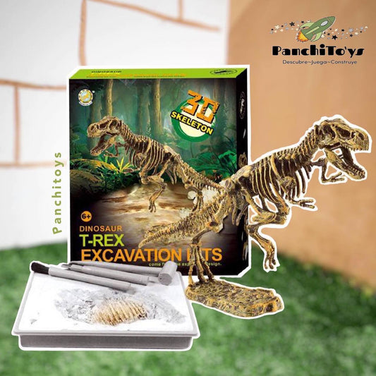 Kit de excavación de dinosaurios🦕